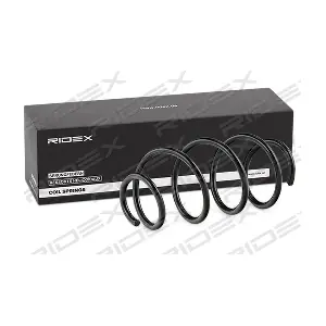188C0549 RIDEX