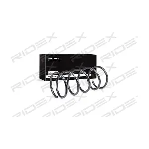 188C0255 RIDEX