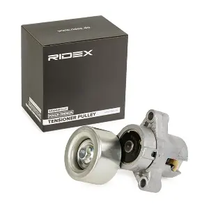 RIDEX 310T0051