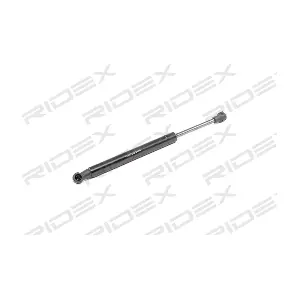 219G0893 RIDEX