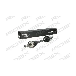 13D0199 RIDEX