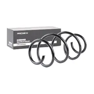 188C0251 RIDEX