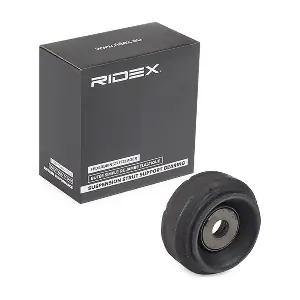 1180S0509 RIDEX