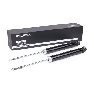 854S2317 RIDEX