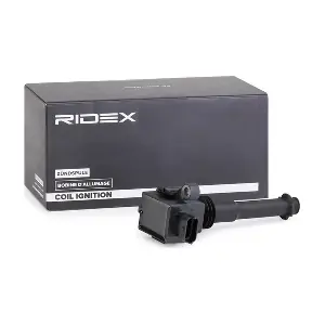 689C0281 RIDEX