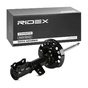 854S2183 RIDEX