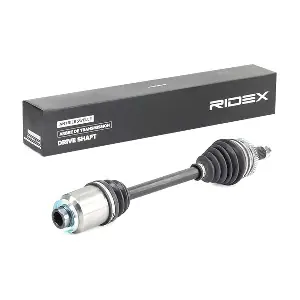 13D0675 RIDEX