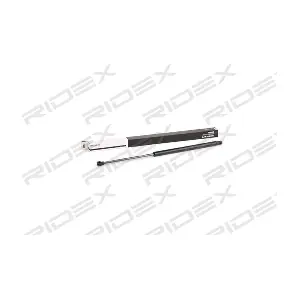 219G0757 RIDEX