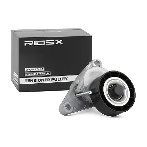 RIDEX 310T0047