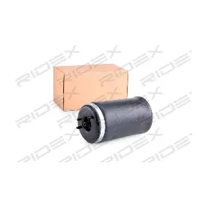 4119A0010 RIDEX