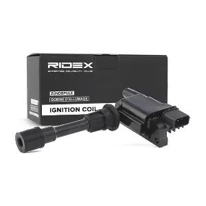 RIDEX 689C0080