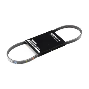 RIDEX 305P0012