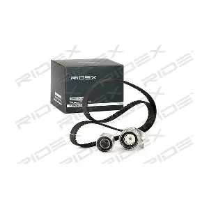 RIDEX 307T0269