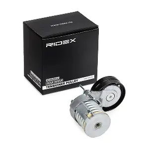 RIDEX 541V0015