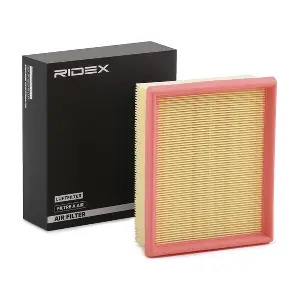 RIDEX 8A0168
