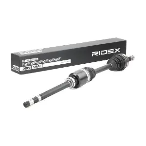 13D0683 RIDEX