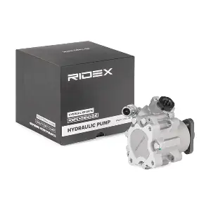 12H0312 RIDEX
