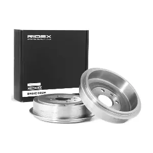 123B0019 RIDEX