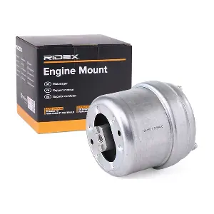 RIDEX 247E0313