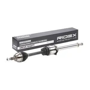 13D0179 RIDEX