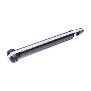 854S2386 RIDEX