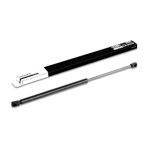 RIDEX 219G0172