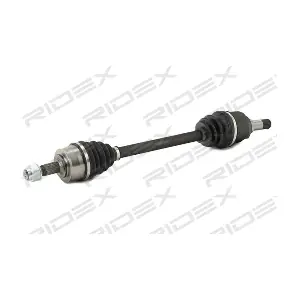 13D0666 RIDEX