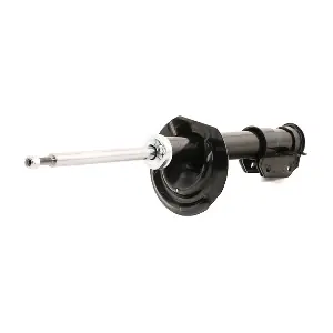 854S17900 RIDEX