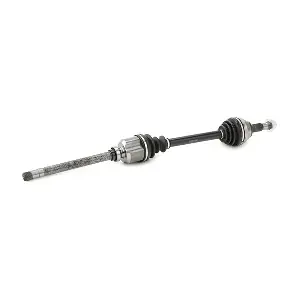 RIDEX 13D0195