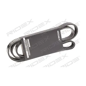 RIDEX 305P0387