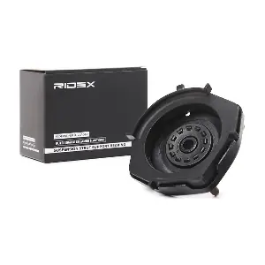 1180S0024 RIDEX