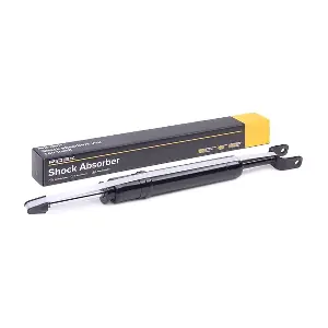 854S0324 RIDEX