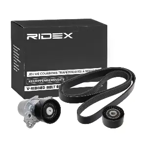 542R0315 RIDEX
