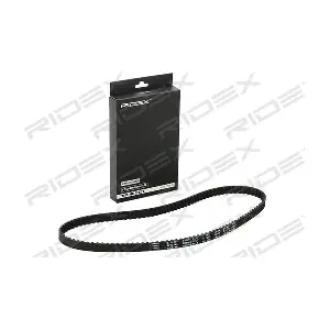 306T0230 RIDEX