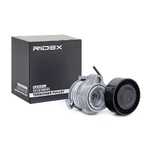RIDEX 310T0141