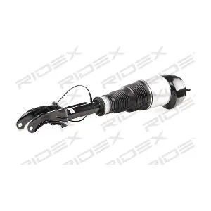 RIDEX 4118A0022