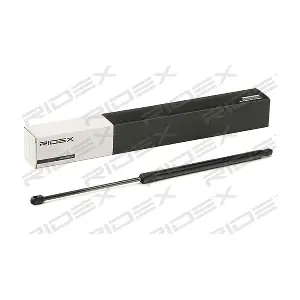 219G0958 RIDEX