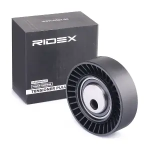 310T0012 RIDEX