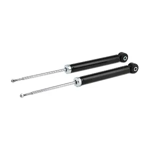 854S17871 RIDEX