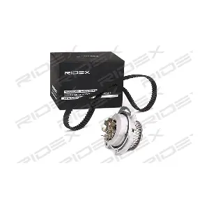 3096W0110 RIDEX