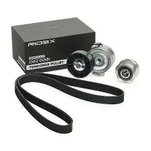 RIDEX 542R0500