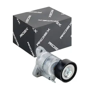 RIDEX 310T0251