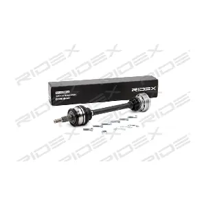 13D0281 RIDEX