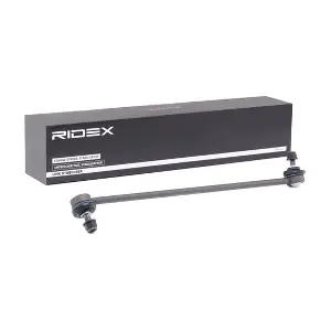 3229S0417 RIDEX