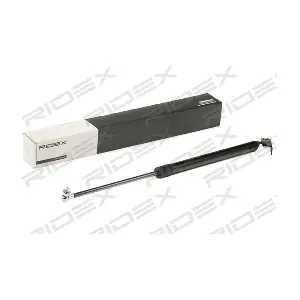 RIDEX 219G0534