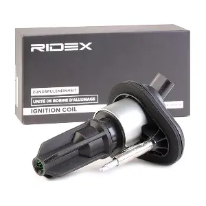 RIDEX 689C0349