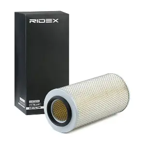 RIDEX 8A0493