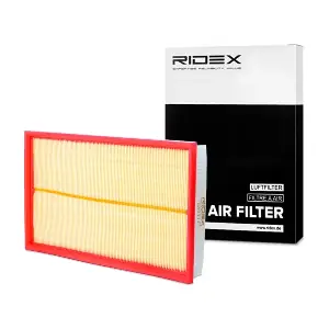 RIDEX 8A0113