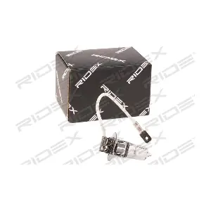 RIDEX 106B0010