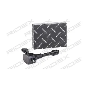 689C0176 RIDEX